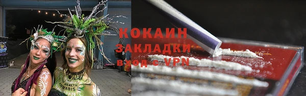 спиды Алзамай