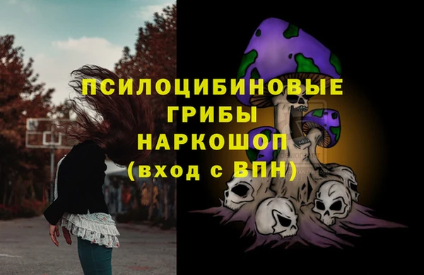 спиды Алзамай